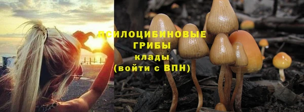 каннабис Инта