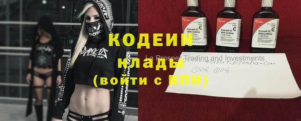 ГАЛЛЮЦИНОГЕННЫЕ ГРИБЫ Инсар