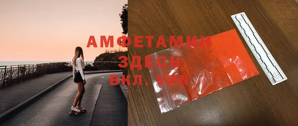 ГАЛЛЮЦИНОГЕННЫЕ ГРИБЫ Инсар