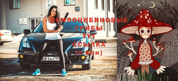 ГАЛЛЮЦИНОГЕННЫЕ ГРИБЫ Инсар