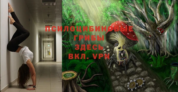 ГАЛЛЮЦИНОГЕННЫЕ ГРИБЫ Инсар