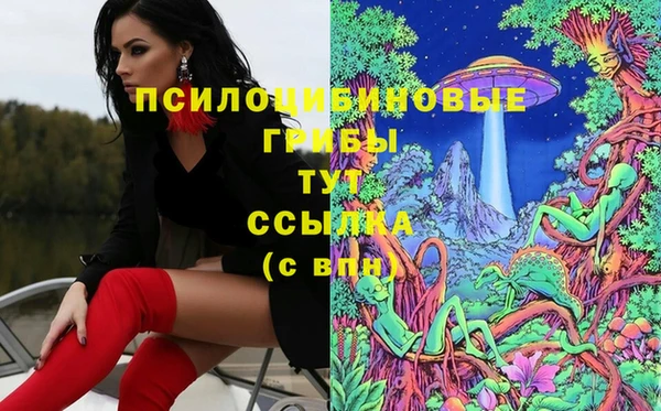 ГАЛЛЮЦИНОГЕННЫЕ ГРИБЫ Инсар